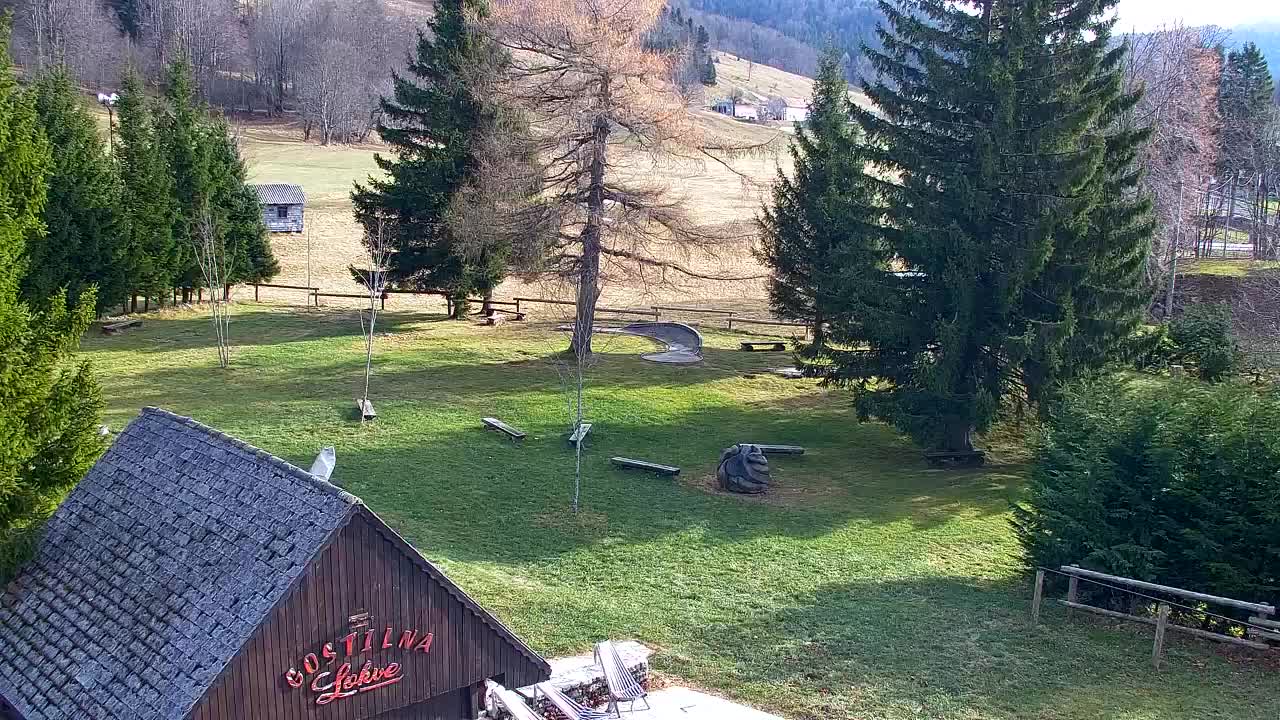 Webcam Loqua / Lokve – La bellezza della selva di Tarnova