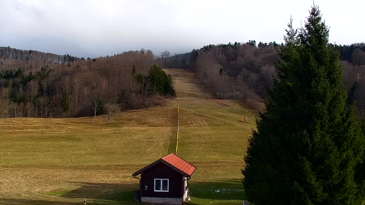 Lokve kamera – Naravne lepote Trnovskega gozda