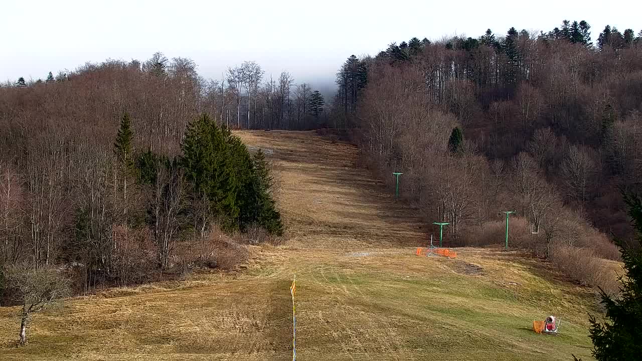 Webcam Lokve – Die Schönheit des Trnovo-Waldes