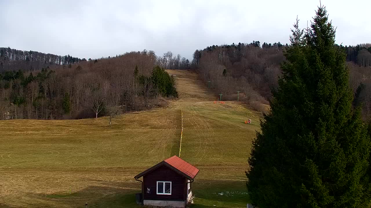 Webcam Lokve – La beauté de la forêt de Trnovo