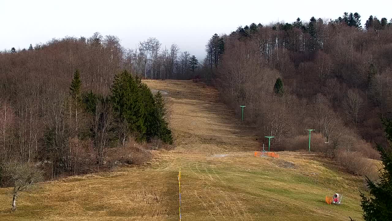 Webcam Lokve – The beauty of the Trnovo forest