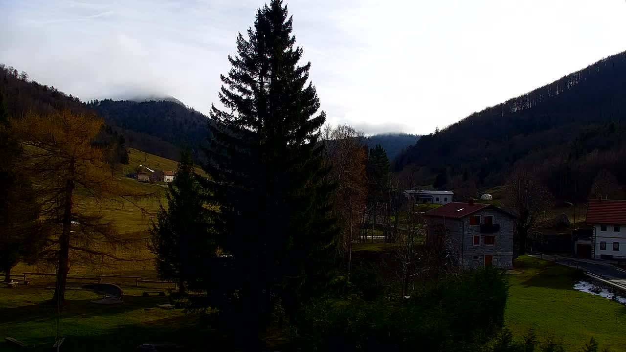 Webcam Lokve – Die Schönheit des Trnovo-Waldes