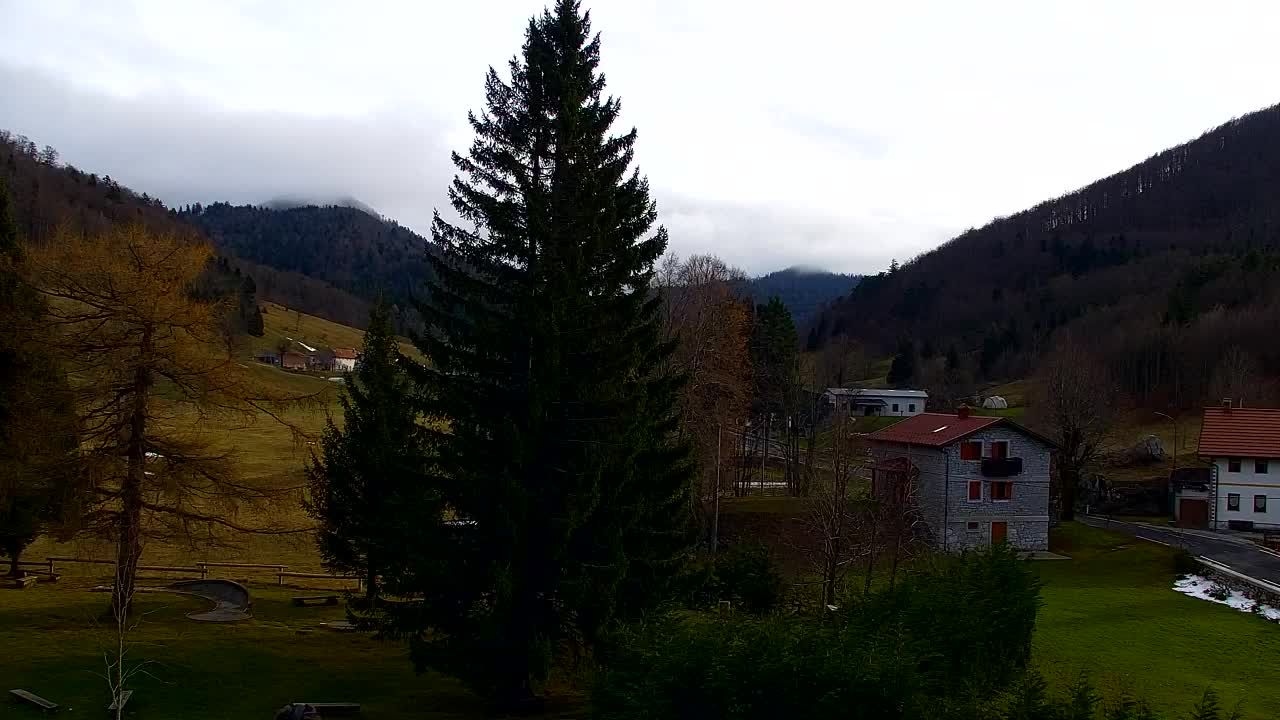 Camera en vivo Lokve – La belleza del bosque de Trnovo