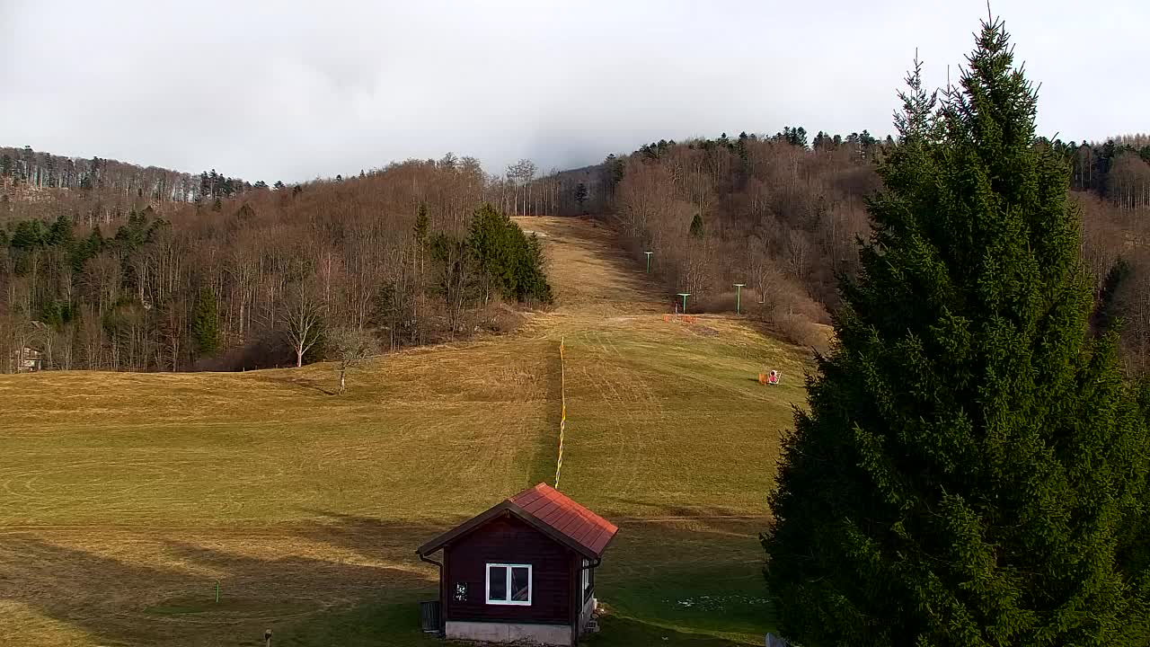 Webcam Lokve – Die Schönheit des Trnovo-Waldes