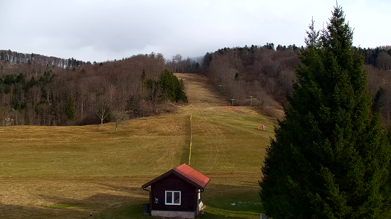 Lokve kamera – Naravne lepote Trnovskega gozda