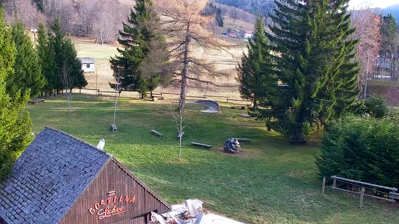 Webcam Loqua / Lokve – La bellezza della selva di Tarnova