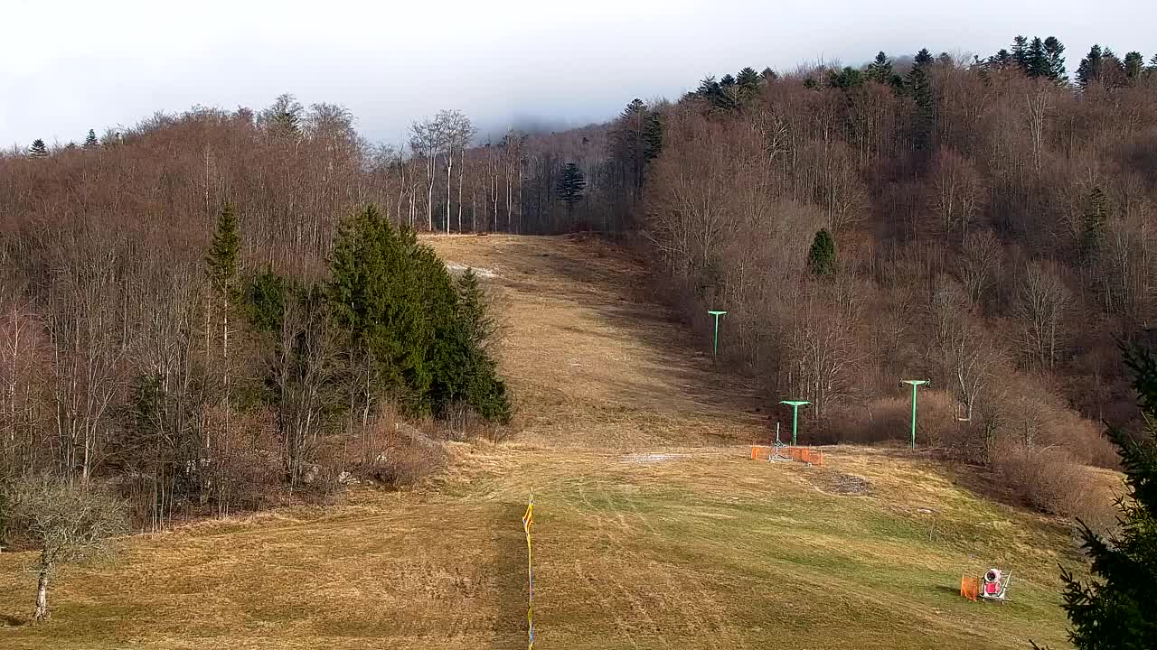 Webcam Loqua / Lokve – La bellezza della selva di Tarnova