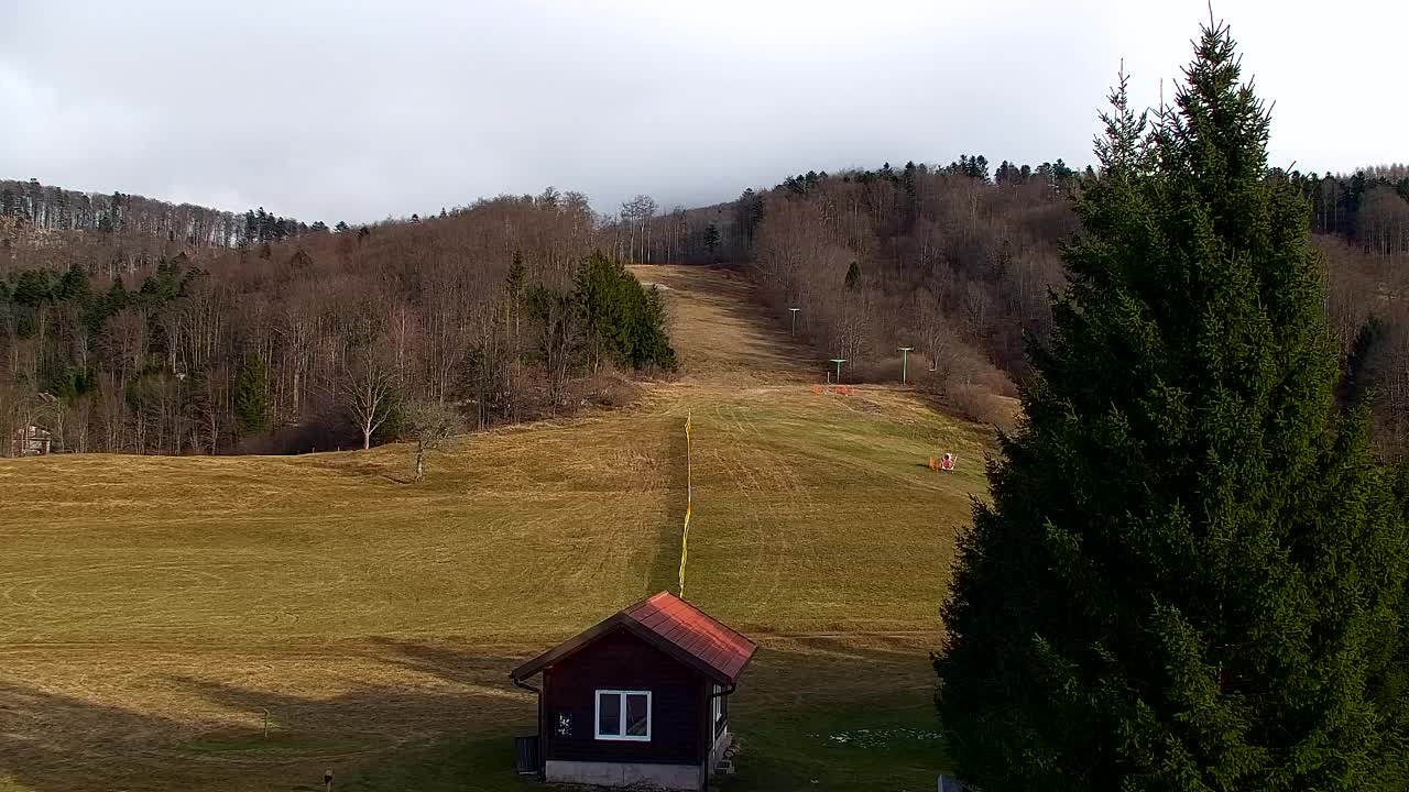 Webcam Lokve – La beauté de la forêt de Trnovo
