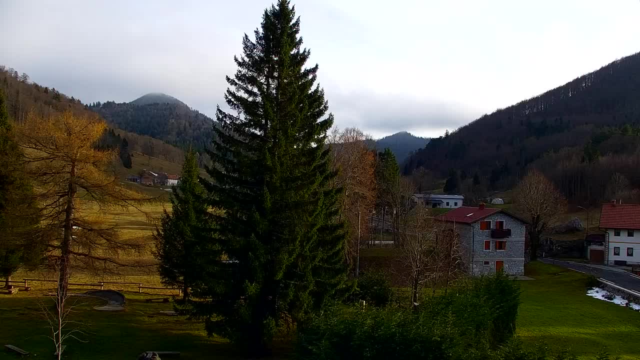 Webcam Lokve – Die Schönheit des Trnovo-Waldes