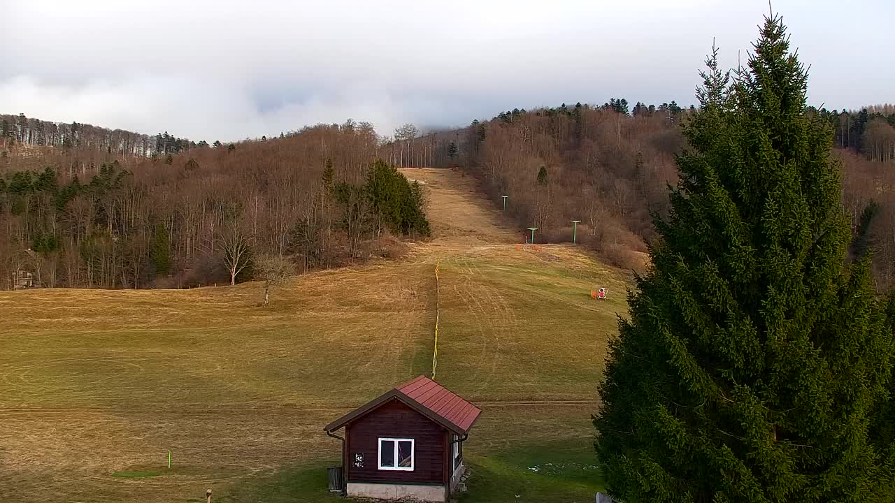 Web kamera Lokve – Ljepota Trnovske šume