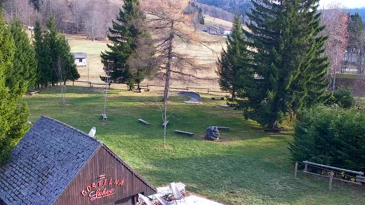 Webcam Lokve – The beauty of the Trnovo forest