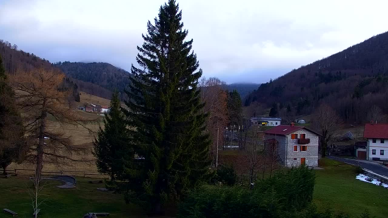 Web kamera Lokve – Ljepota Trnovske šume