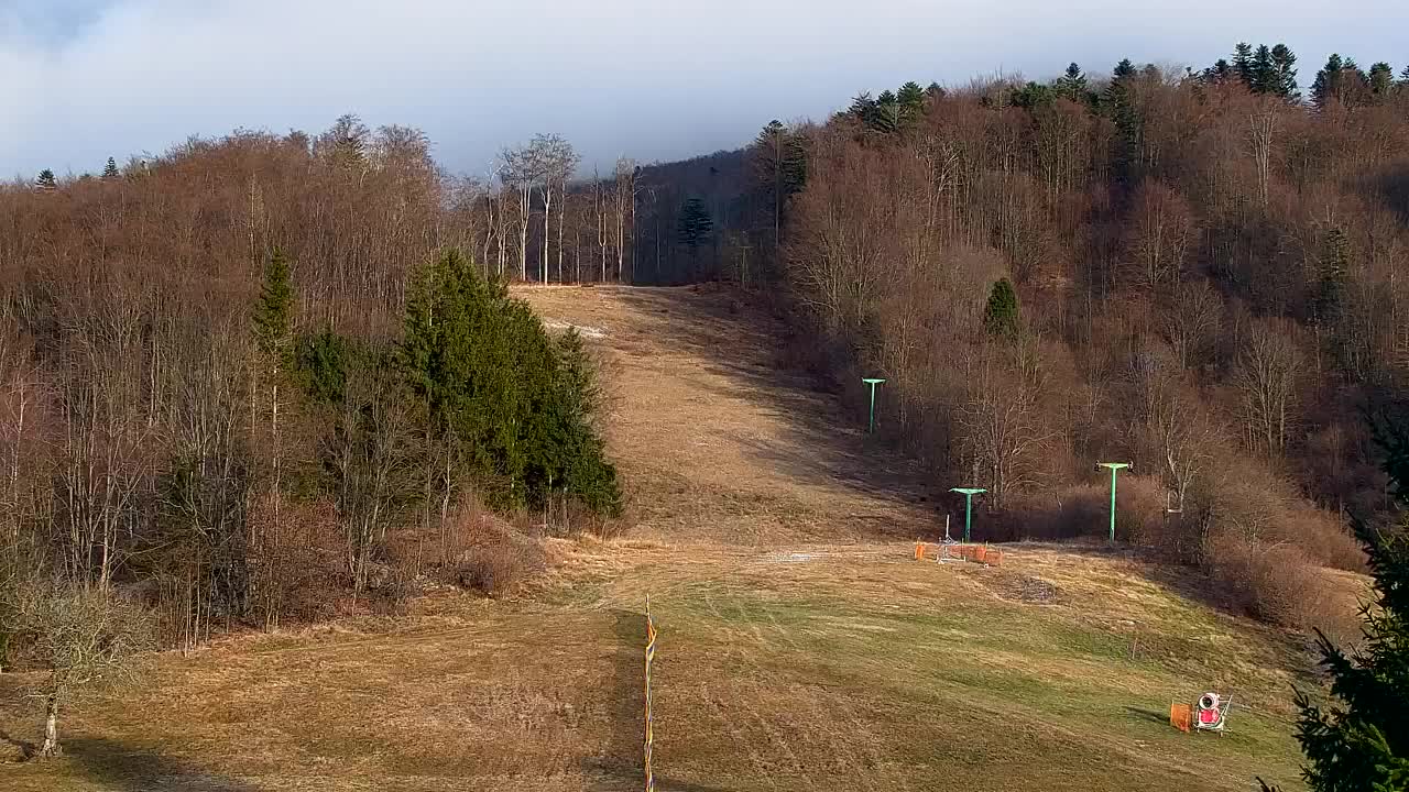 Webcam Loqua / Lokve – La bellezza della selva di Tarnova