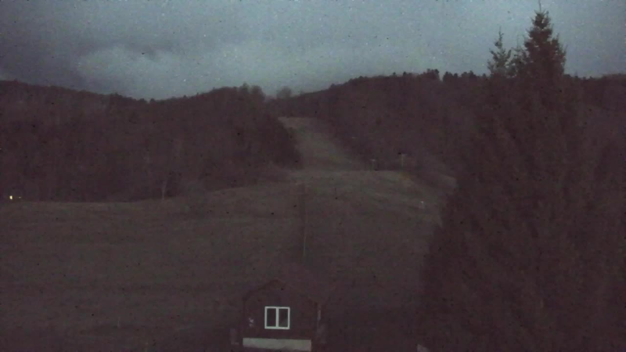 Webcam Loqua / Lokve – La bellezza della selva di Tarnova