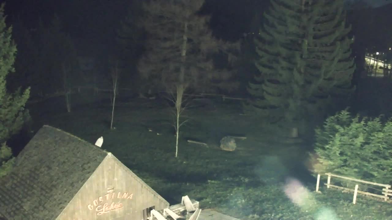 Webcam Loqua / Lokve – La bellezza della selva di Tarnova