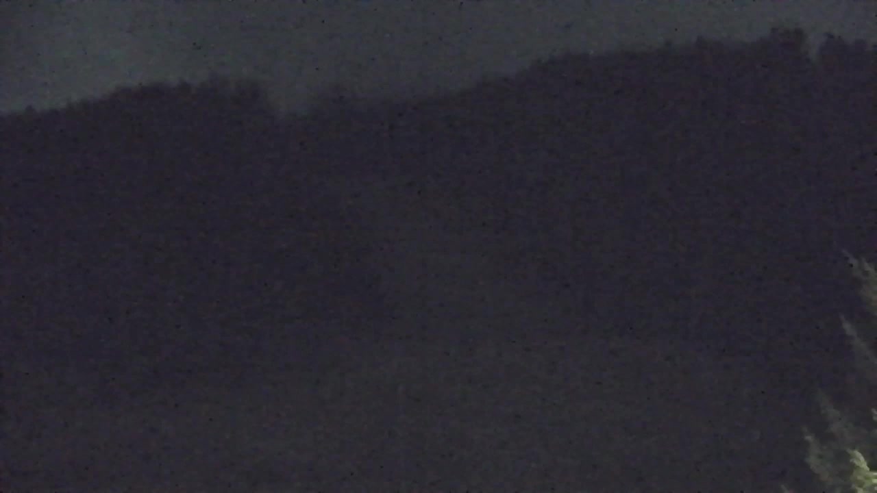 Webcam Lokve – La beauté de la forêt de Trnovo