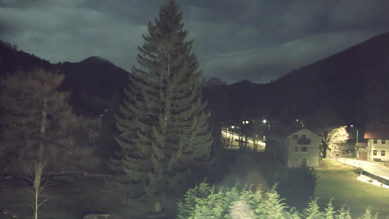 Webcam Loqua / Lokve – La bellezza della selva di Tarnova