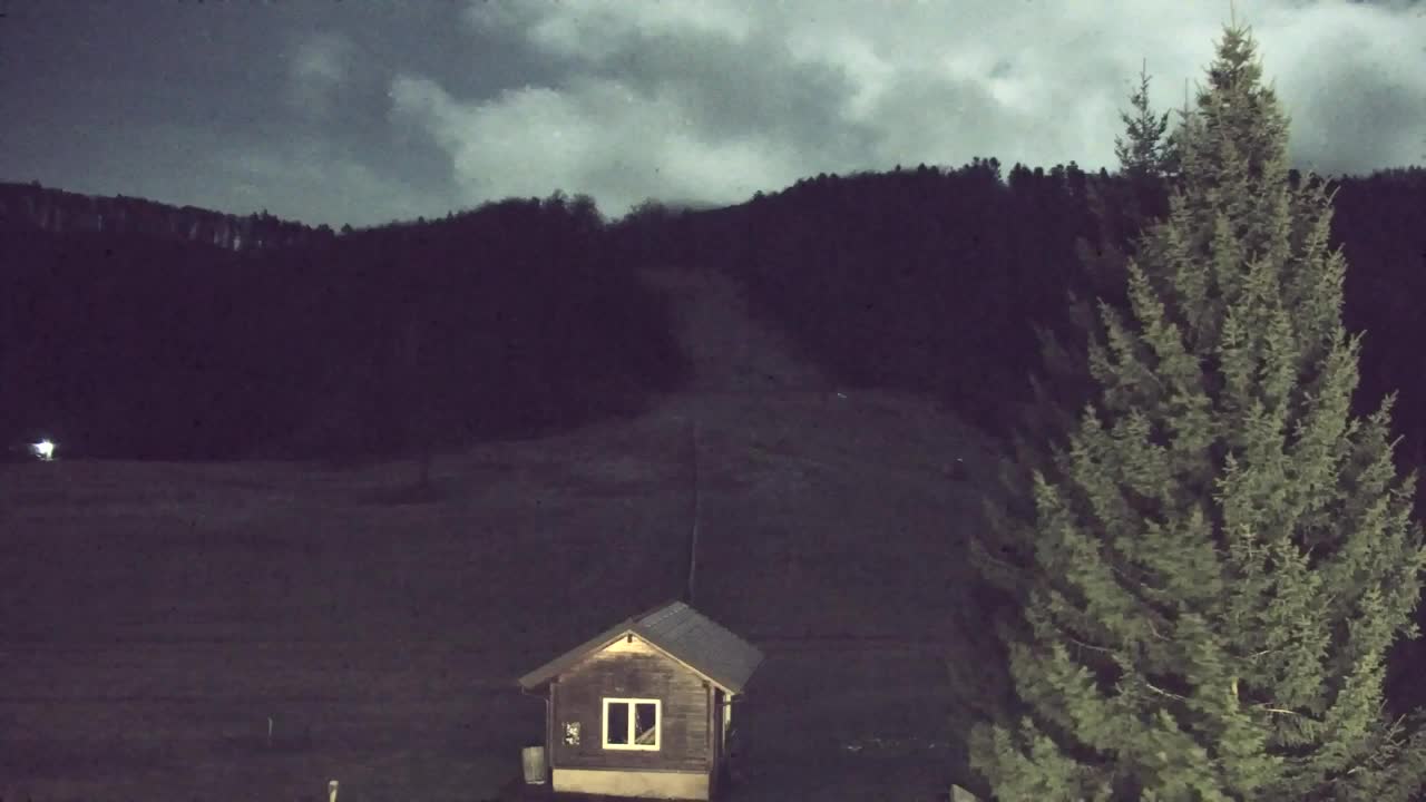 Webcam Lokve – La beauté de la forêt de Trnovo