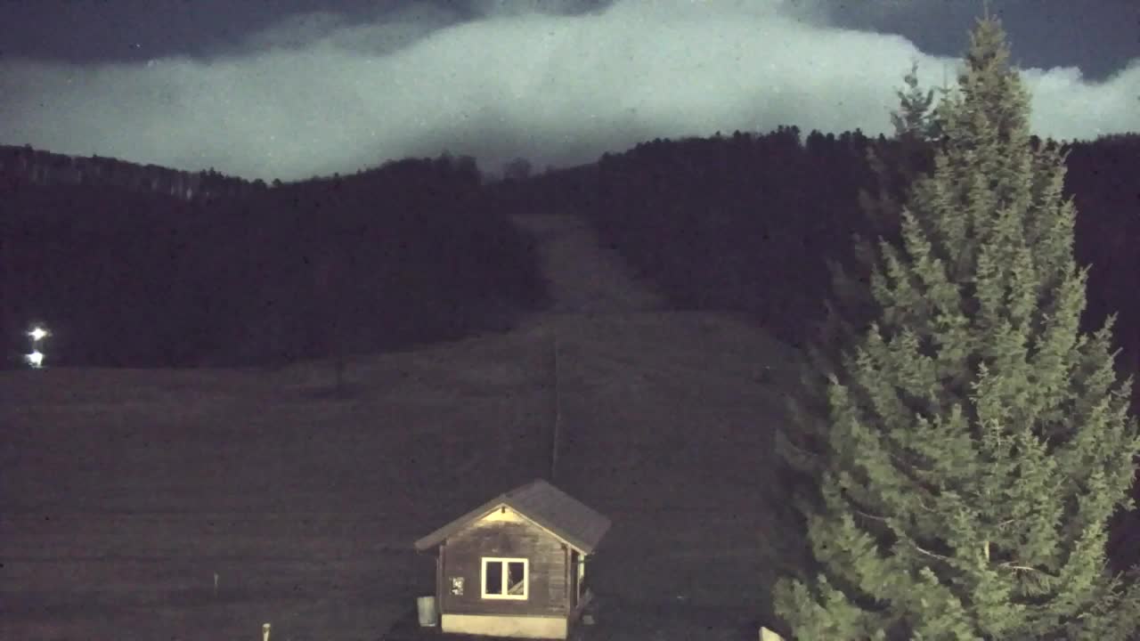 Webcam Lokve – Die Schönheit des Trnovo-Waldes