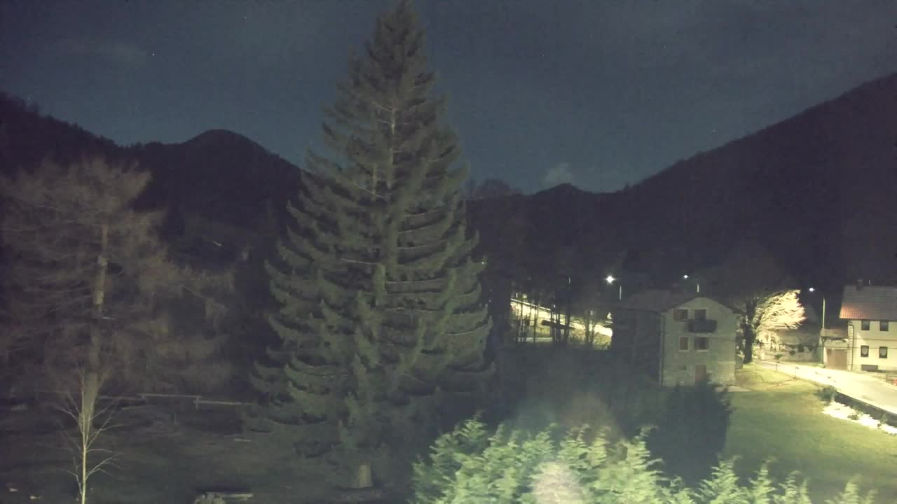 Webcam Lokve – La beauté de la forêt de Trnovo