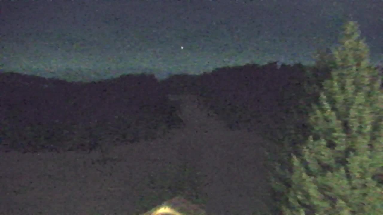 Webcam Lokve – Die Schönheit des Trnovo-Waldes