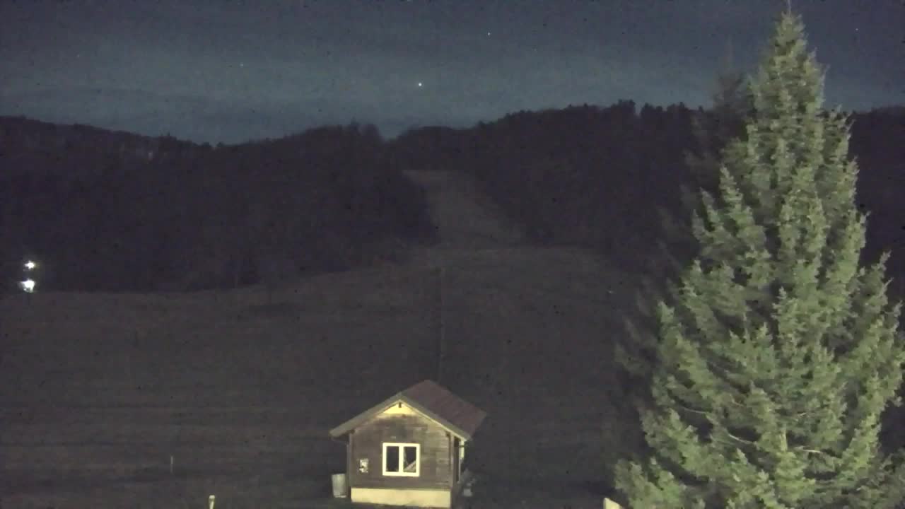 Webcam Lokve – La beauté de la forêt de Trnovo