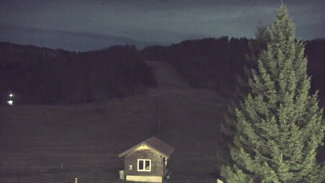 Webcam Lokve – La beauté de la forêt de Trnovo