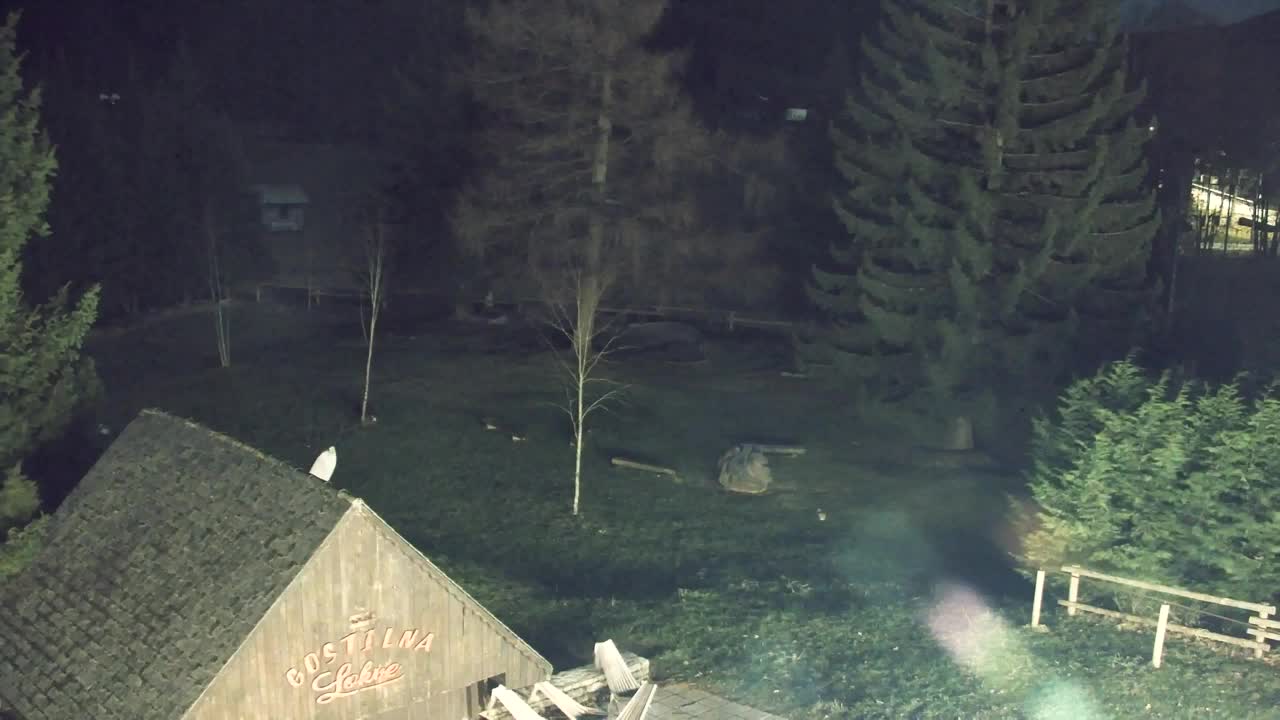 Webcam Lokve – La beauté de la forêt de Trnovo