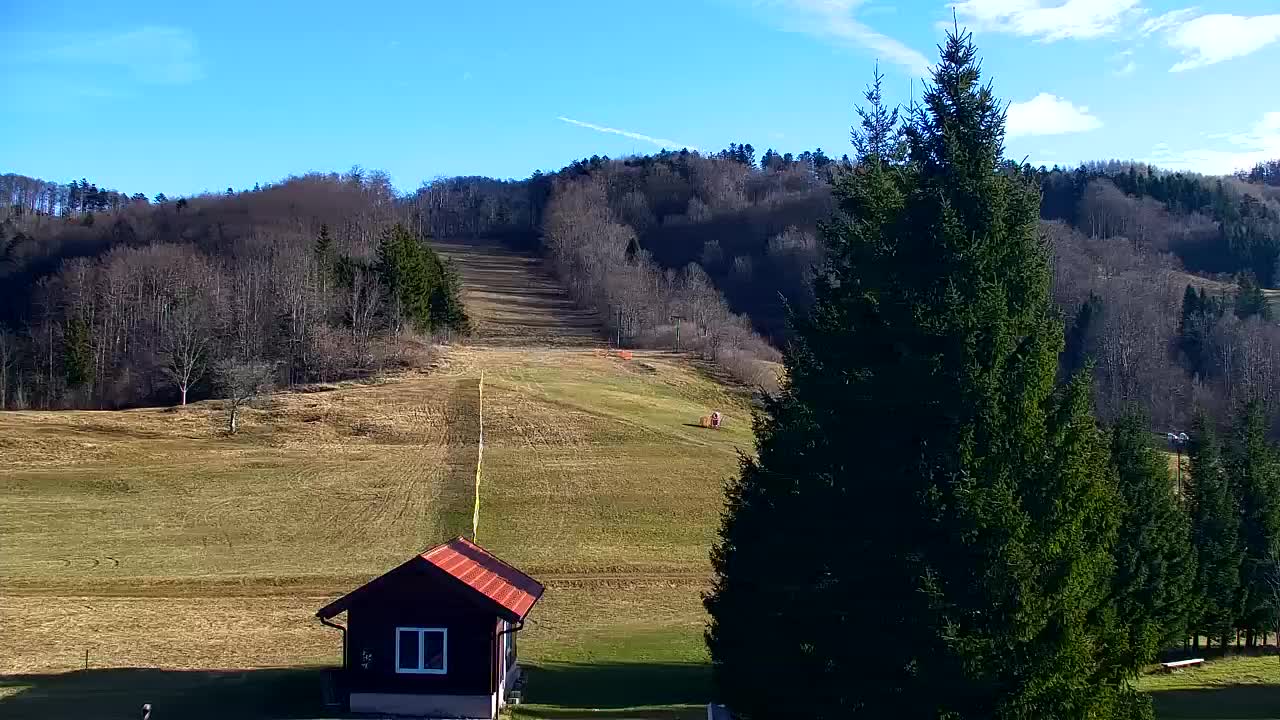 Webcam Lokve – Die Schönheit des Trnovo-Waldes