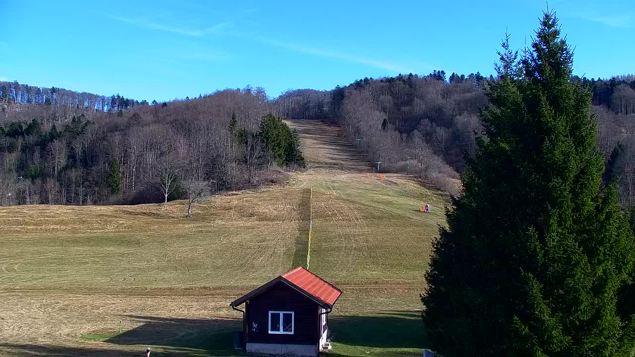 Webcam Lokve – La beauté de la forêt de Trnovo