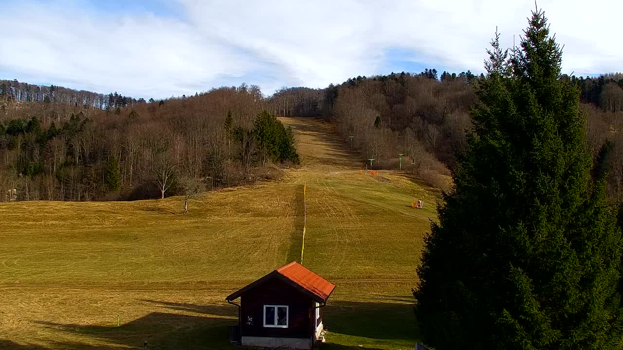 Web kamera Lokve – Ljepota Trnovske šume