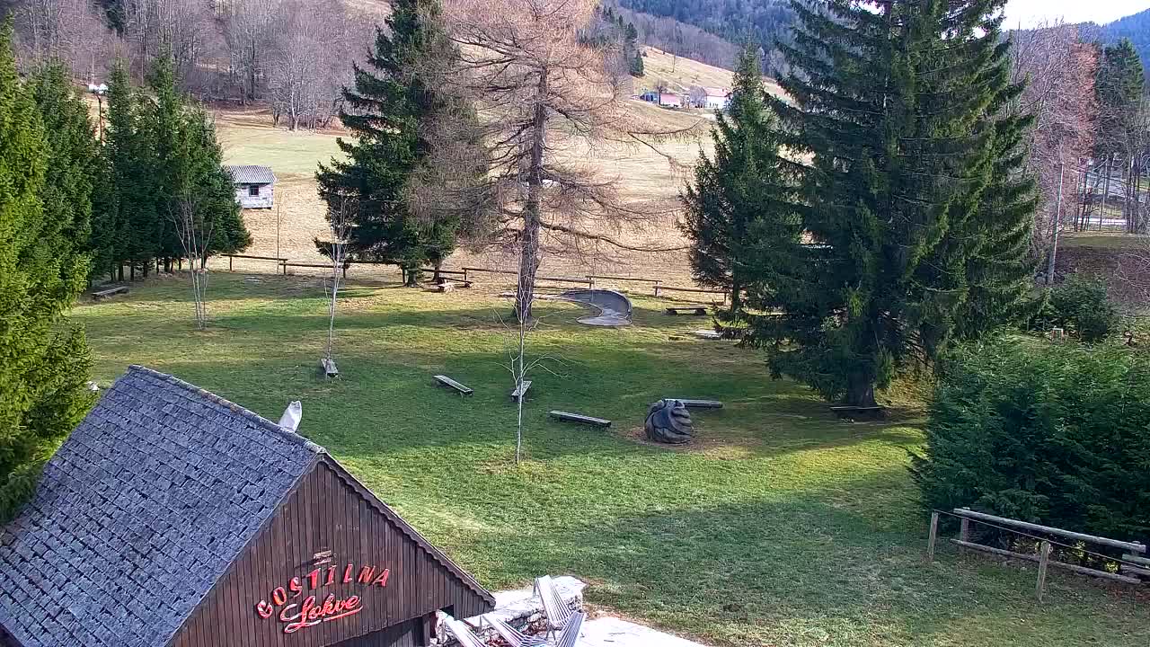 Webcam Loqua / Lokve – La bellezza della selva di Tarnova