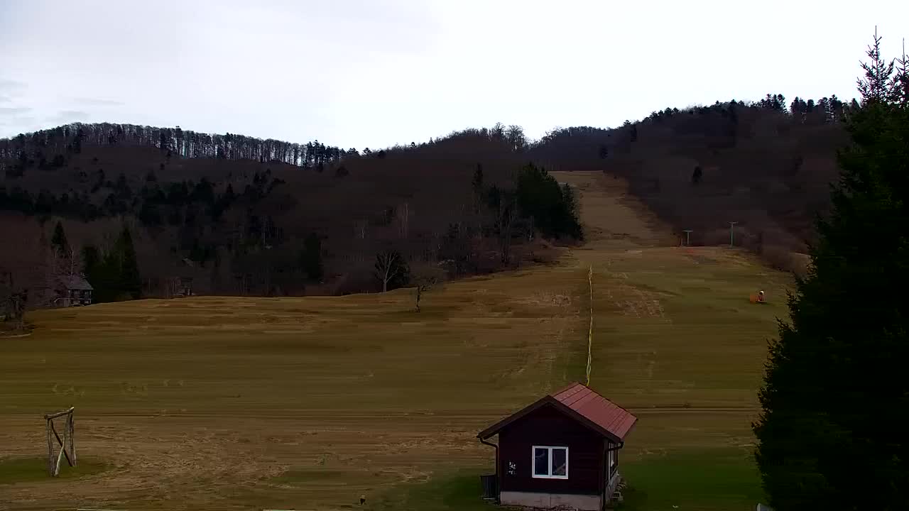 Webcam Lokve – Die Schönheit des Trnovo-Waldes