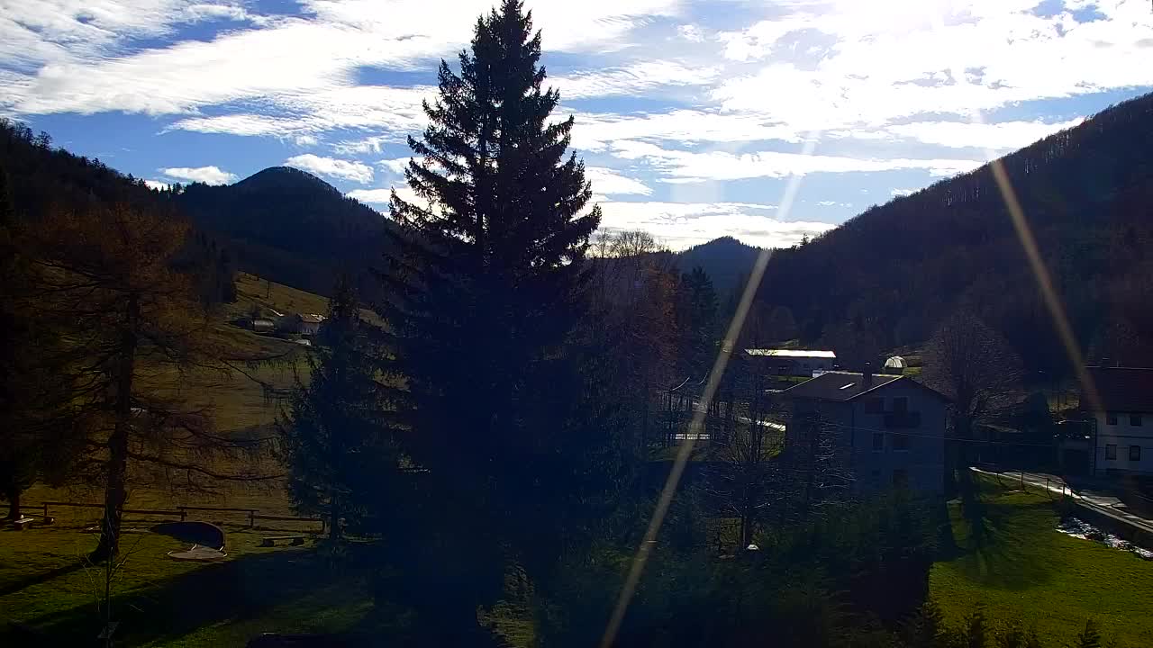 Webcam Lokve – La beauté de la forêt de Trnovo