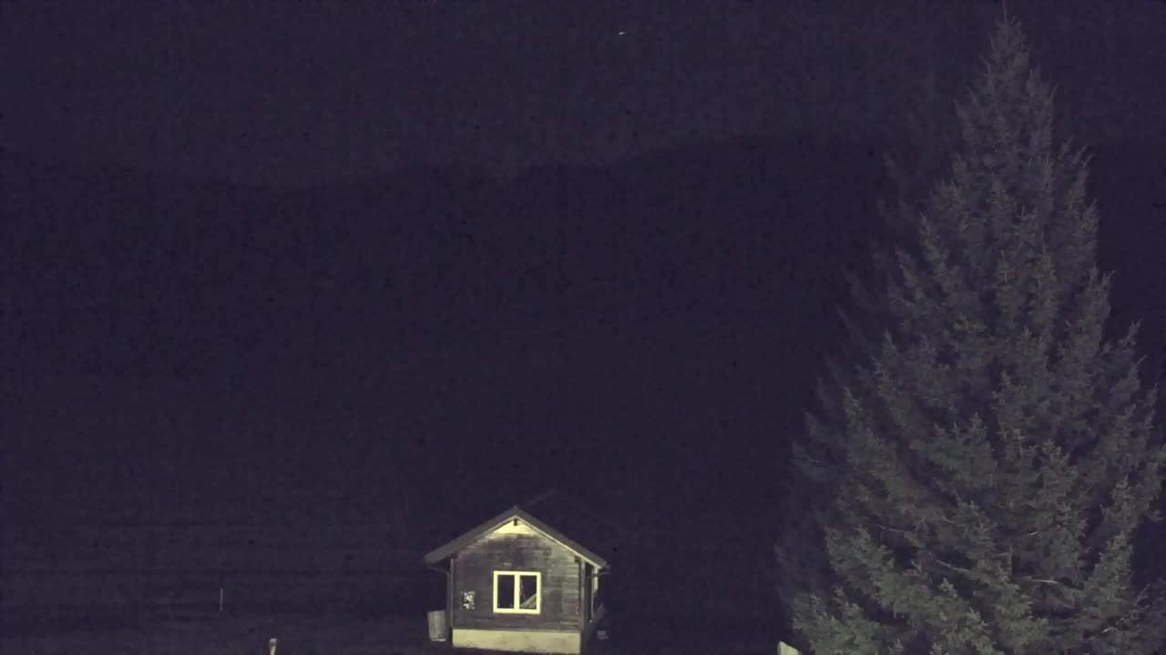 Webcam Lokve – La beauté de la forêt de Trnovo