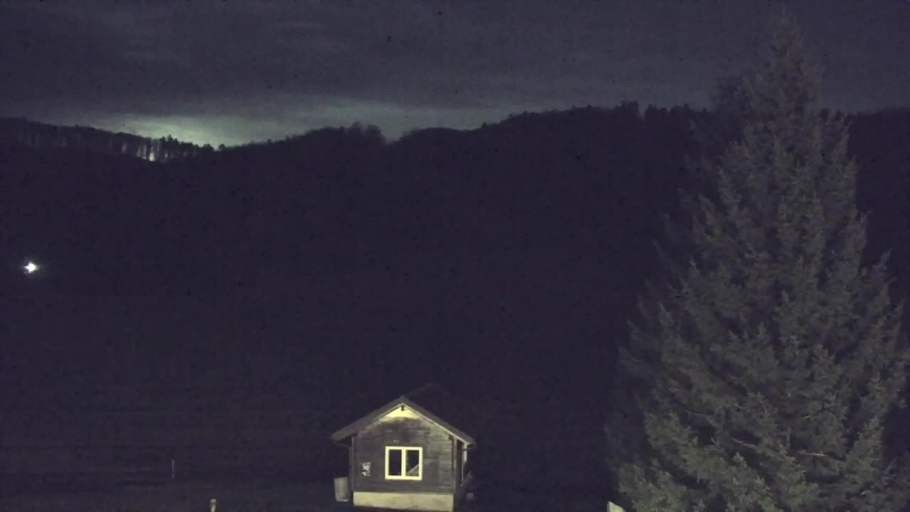 Webcam Lokve – The beauty of the Trnovo forest