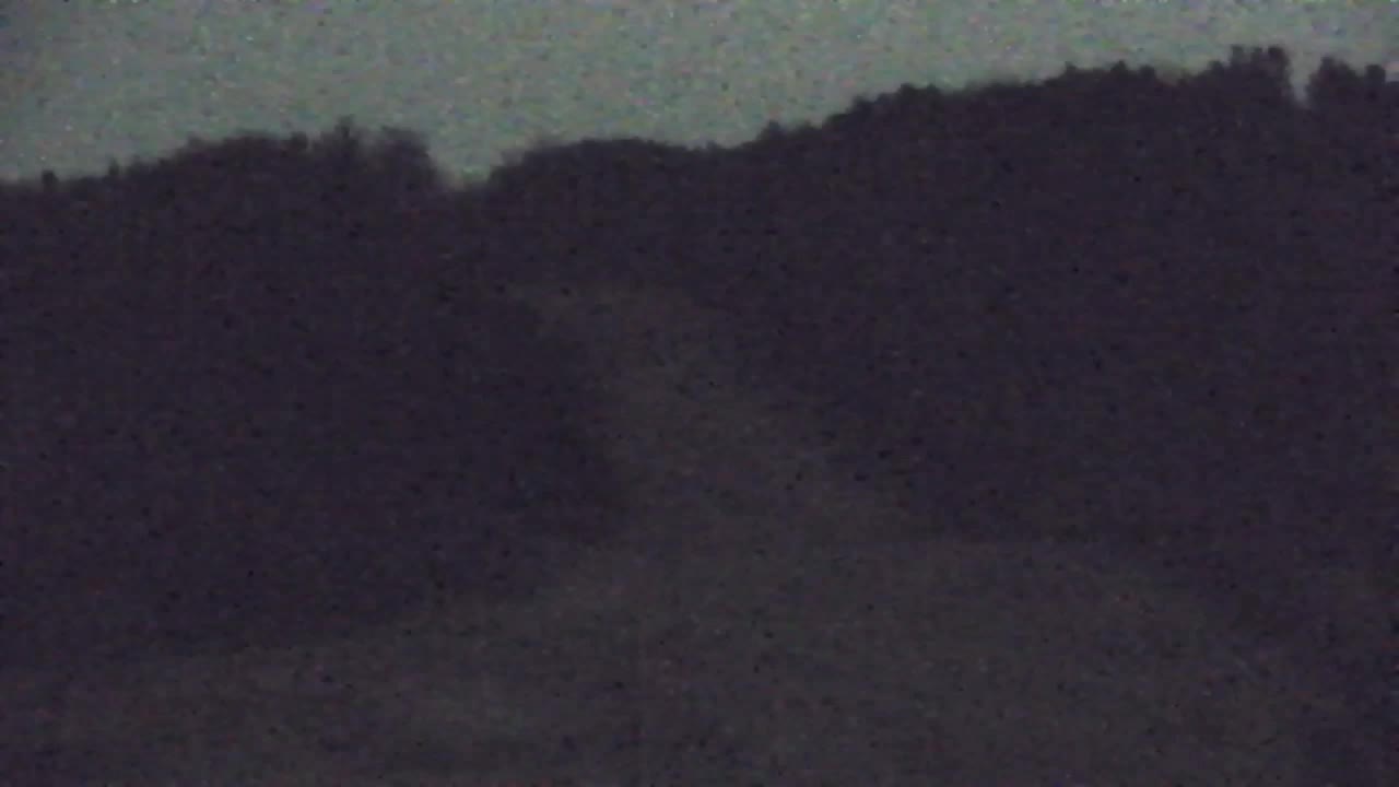 Webcam Loqua / Lokve – La bellezza della selva di Tarnova