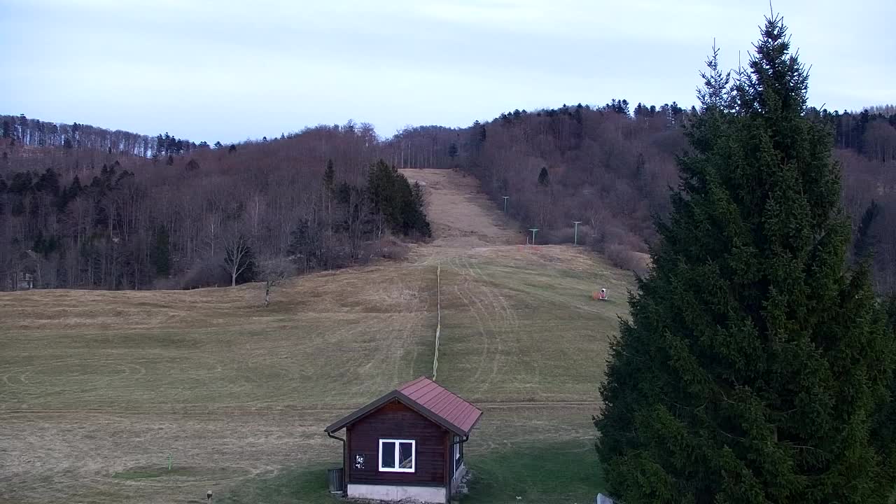 Webcam Lokve – Die Schönheit des Trnovo-Waldes
