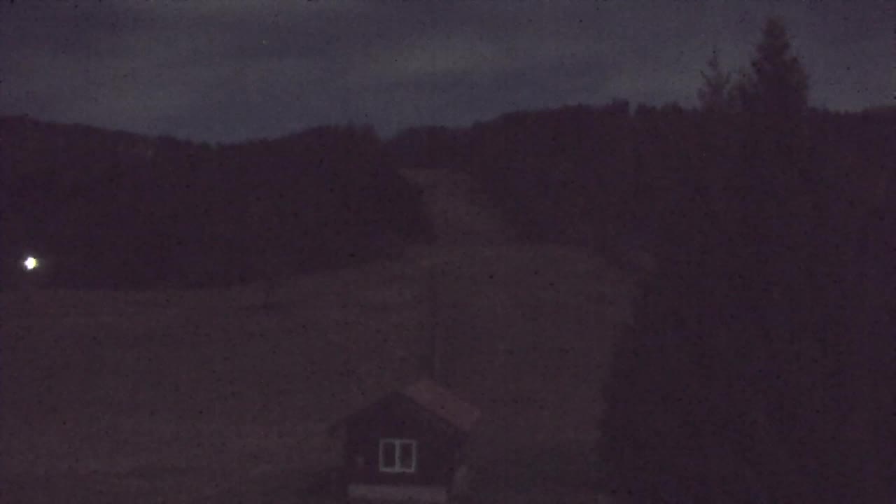 Camera en vivo Lokve – La belleza del bosque de Trnovo