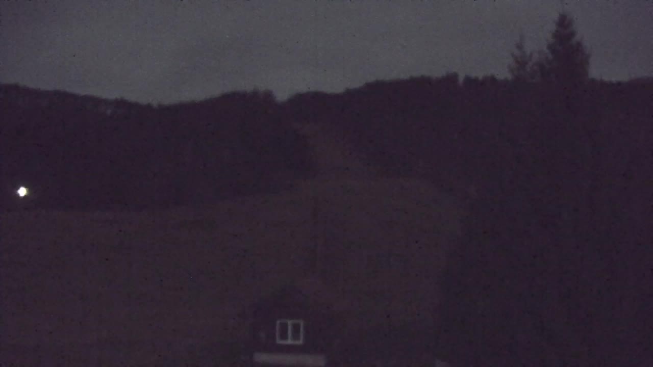 Webcam Lokve – Die Schönheit des Trnovo-Waldes