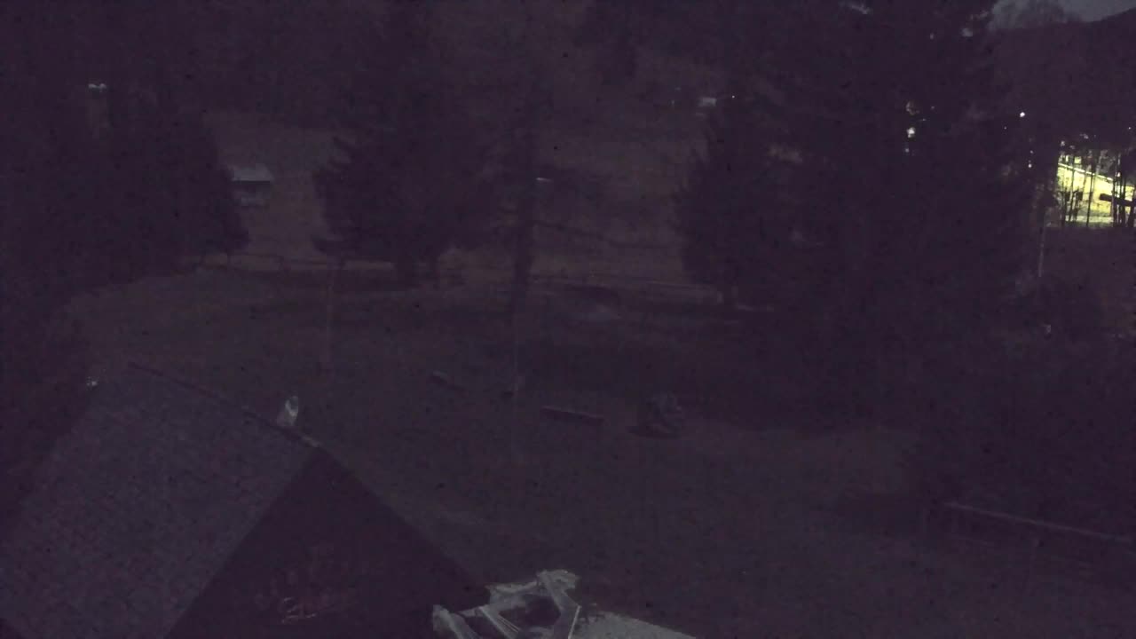 Webcam Loqua / Lokve – La bellezza della selva di Tarnova