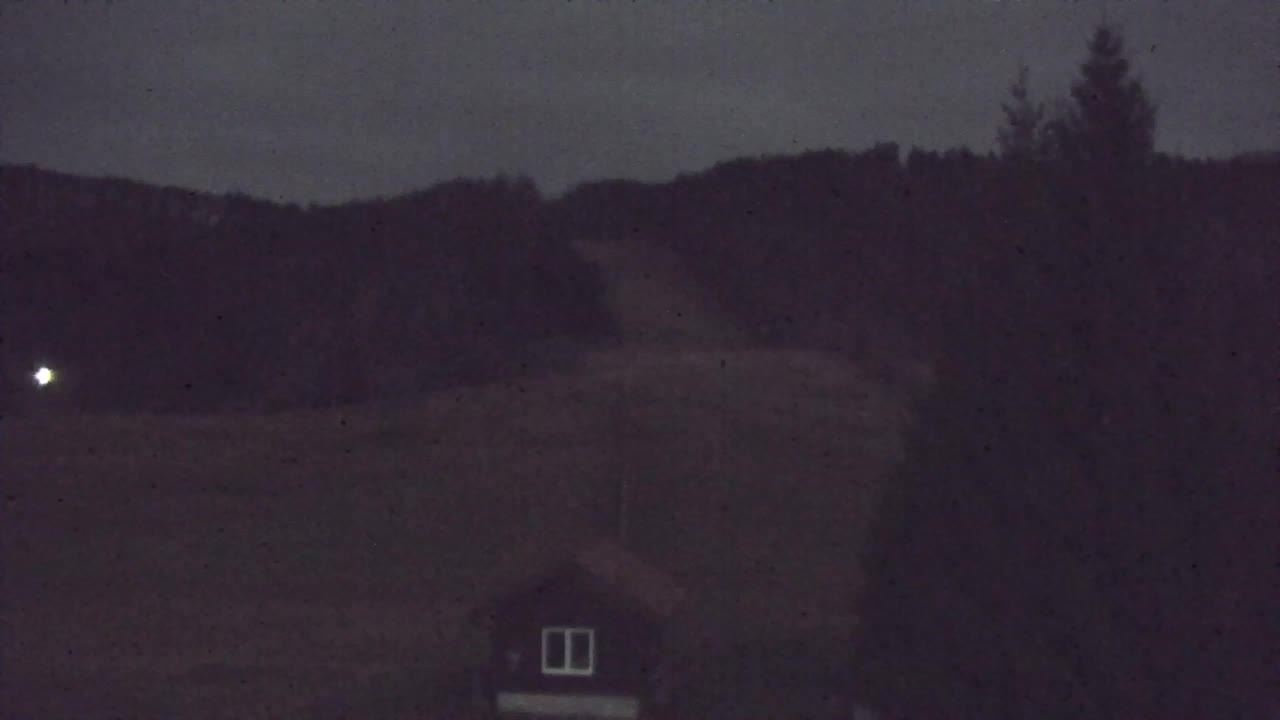 Webcam Loqua / Lokve – La bellezza della selva di Tarnova