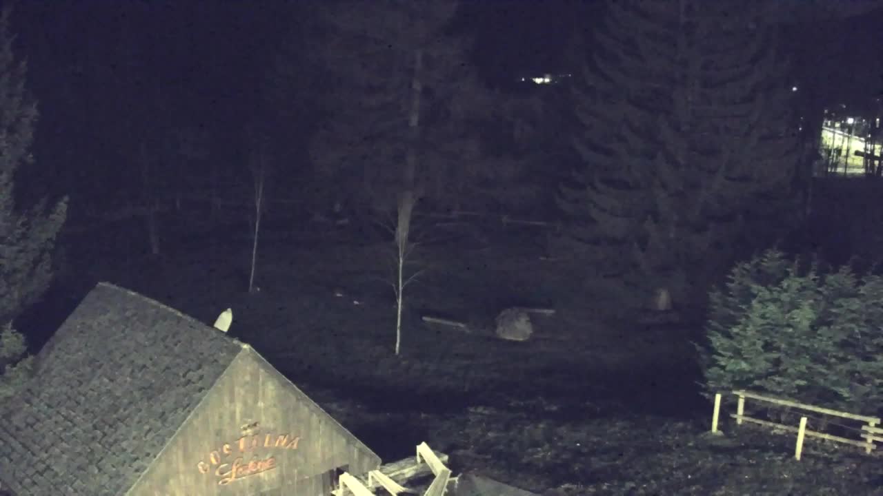 Webcam Lokve – La beauté de la forêt de Trnovo