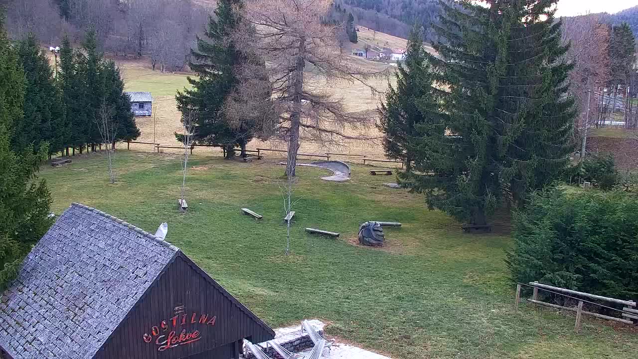 Webcam Lokve – The beauty of the Trnovo forest