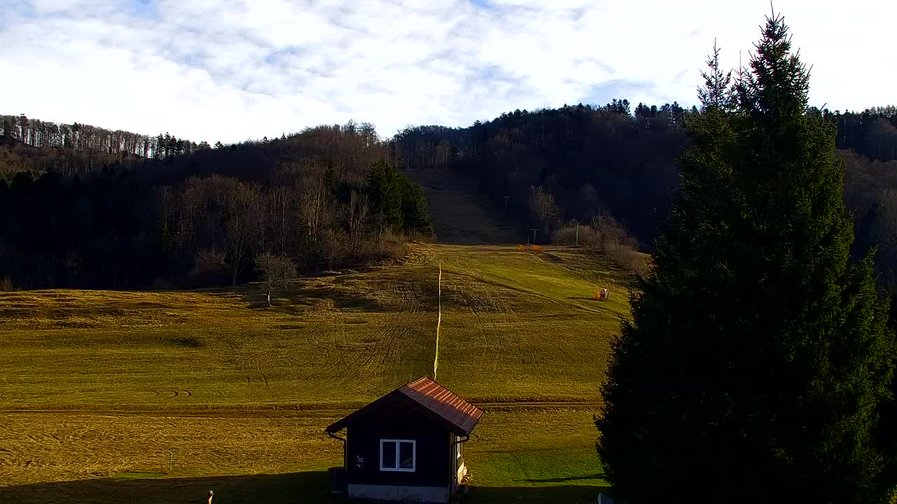 Webcam Lokve – La beauté de la forêt de Trnovo