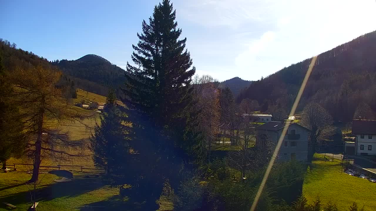 Webcam Loqua / Lokve – La bellezza della selva di Tarnova