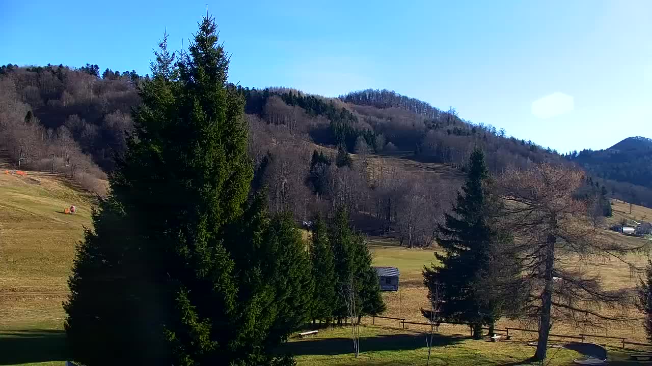 Web kamera Lokve – Ljepota Trnovske šume