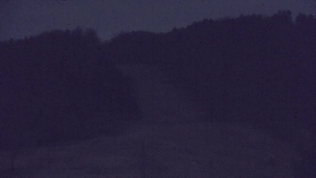 Webcam Lokve – The beauty of the Trnovo forest