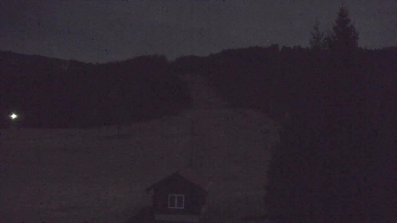 Webcam Lokve – La beauté de la forêt de Trnovo