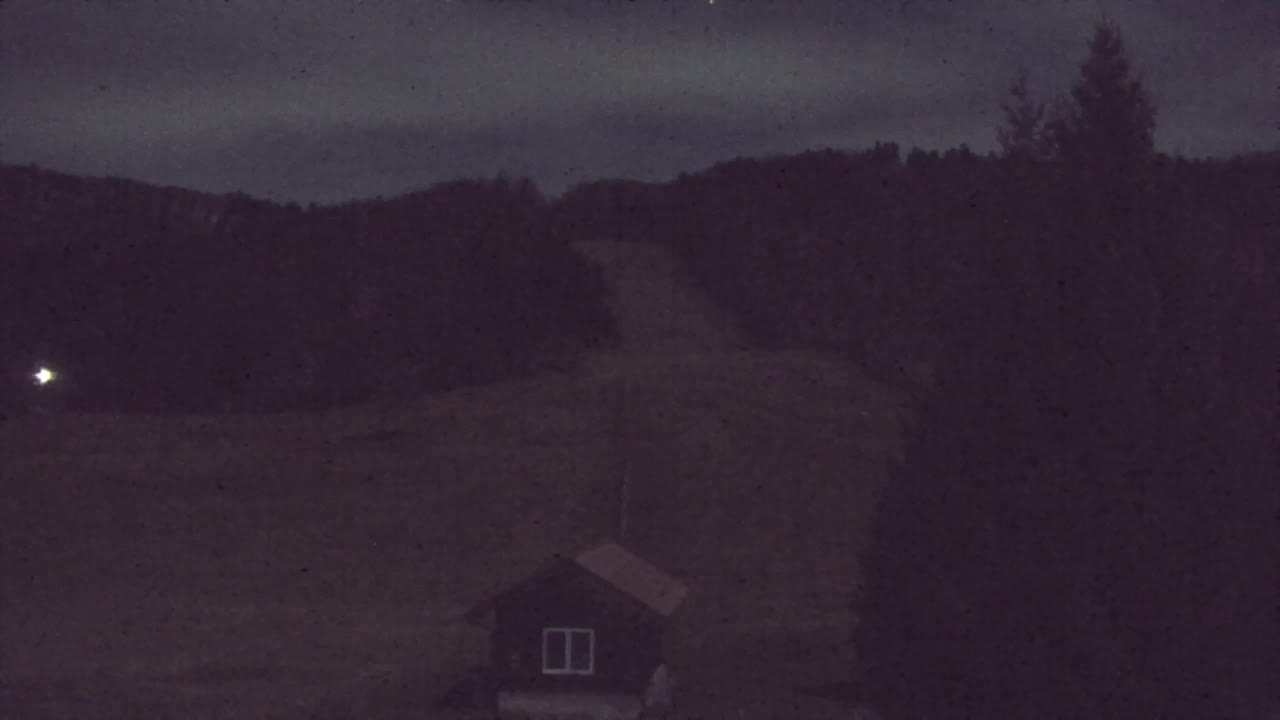 Webcam Loqua / Lokve – La bellezza della selva di Tarnova